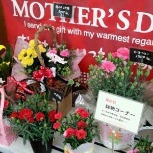 2013年母の日ギフト　～花のひより園～｜「花のひより園」　（愛知県愛西市の花キューピット加盟店 花屋）のブログ